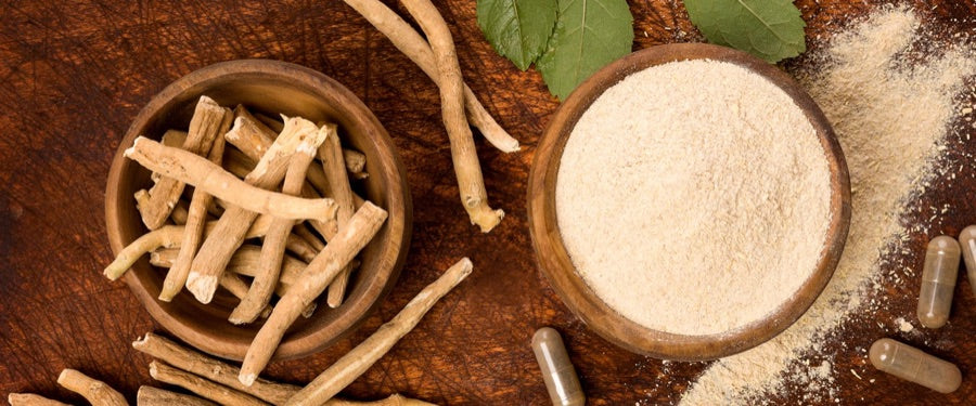 Ashwagandha root and powder